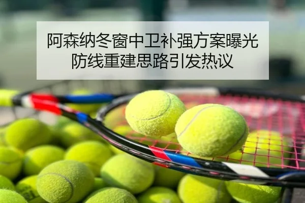 阿森纳冬窗中卫补强方案曝光 防线重建思路引发热议