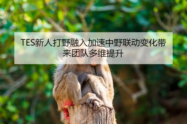 TES新人打野融入加速中野联动变化带来团队多维提升